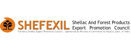 shefexil